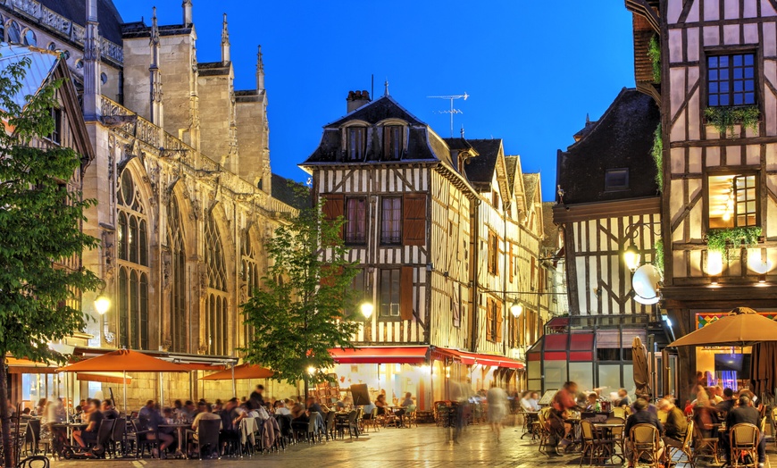 Image 16: Troyes : appartement 1 chambre avec petit-déjeuner en option