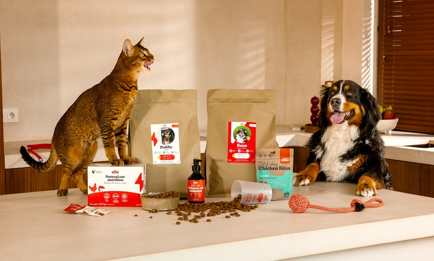 Image 2: 35% korting op gepersonaliseerde honden- en kattenvoeding