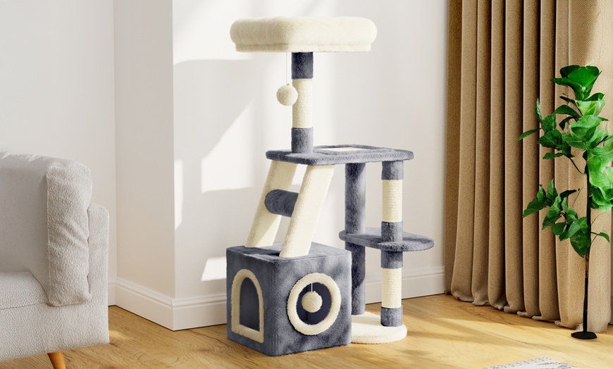 Image 5: Arbre à chat à plusieurs niveaux