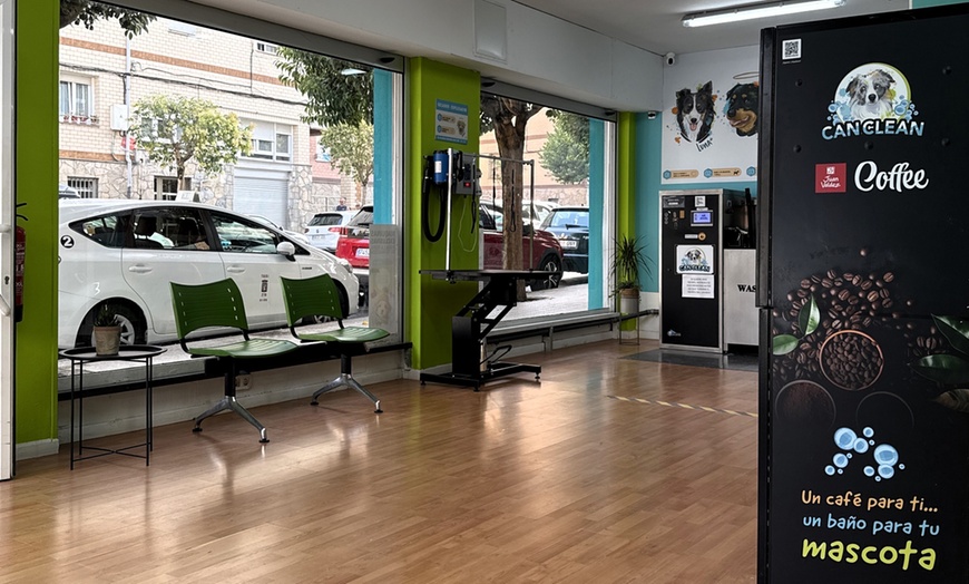 Image 4: Sesión de peluquería canina para perros hasta 6, 15 o 30 kg 