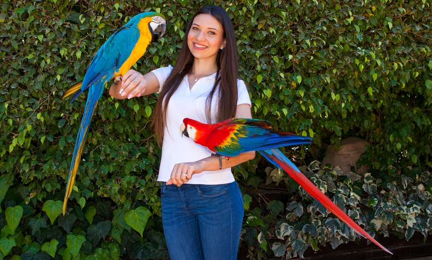Image 12: Diversión en familia con una entrada a MundoMar y/o Aqualandia