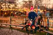 Entrée adulte ou enfant du 20 décembre 2025 au 4 janvier 2026 au parc Walibi Rhône-Alpes pour Noël - Image 3