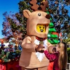 Image 3: GIVE THE GIFT OF LEGOLAND: Save Up to 60% On LEGOLAND California Tickets