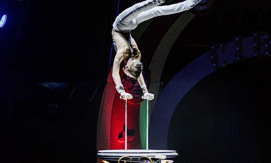 Image 5: Entrada oro o plata para niño o adulto al espectáculo "Viva el circo"