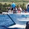 Image 2: Whale Watching at 1:00 PM – Tickets for Adults, Kids & Families