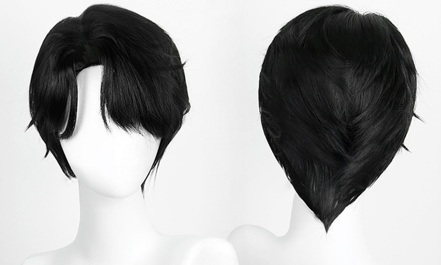 Image 6: Anime Cosplay Wig Hairs