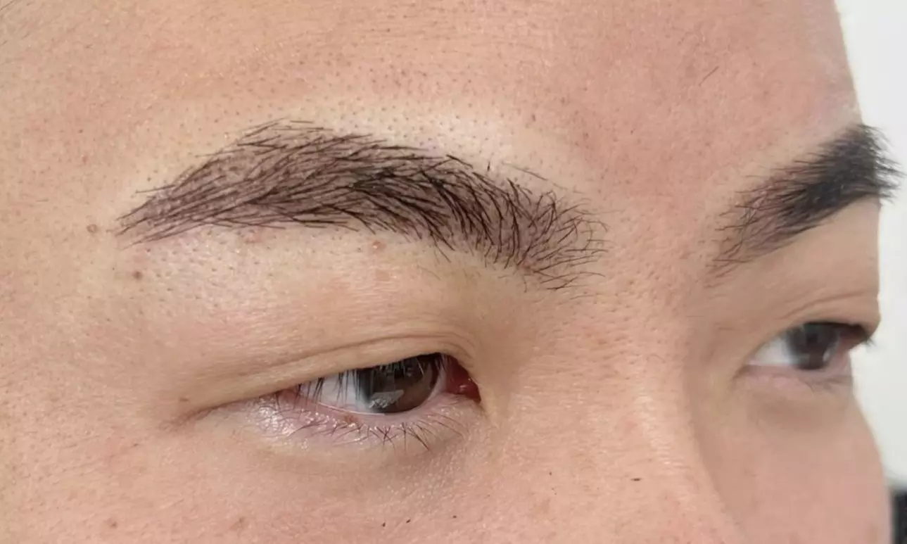 One or Two Microshading Ombre/Powder Brow