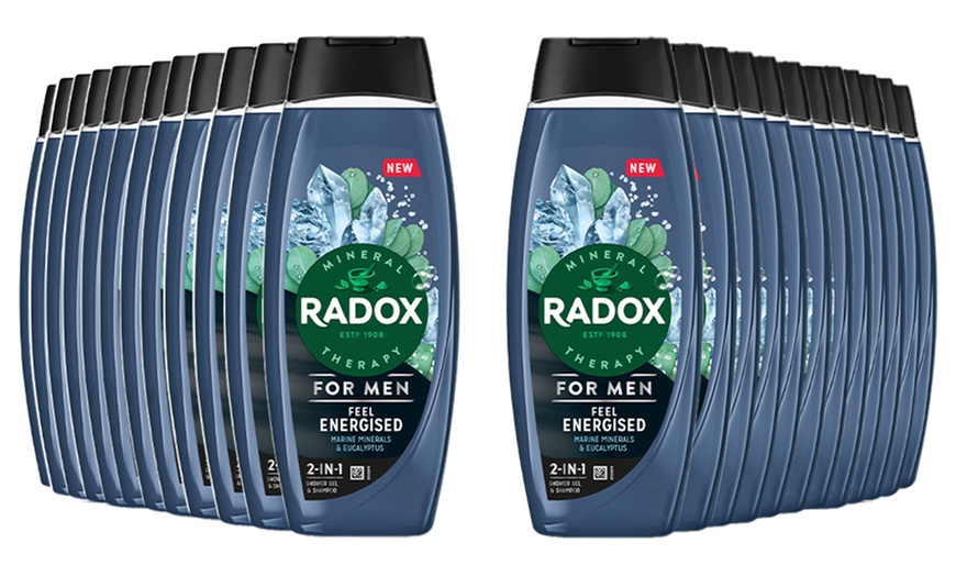 Image 11: Radox Mineral Therapy 2in1 Shower Gel and Shampoo 450ml
