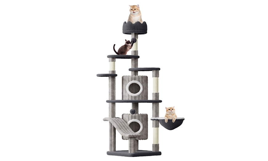 Image 24: Meerlaagse grijze kattenboom