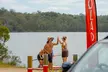 One or Two-Hour Paddleboard Hire for Up to 8 People at Sunlark, Narrabeen Lagoon (Up to 20% Off) - Second Medium