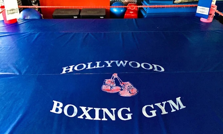 Image 1: Train Like a Pro: 5 Boxing Sessions or Unlimited Classes for a Month