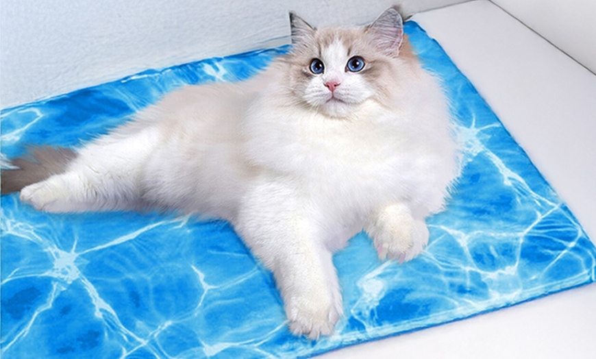 Image 2: Kühlmatte für Haustiere