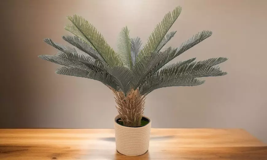 Image 9: Plantas artificiales decorativas en diferentes diseños