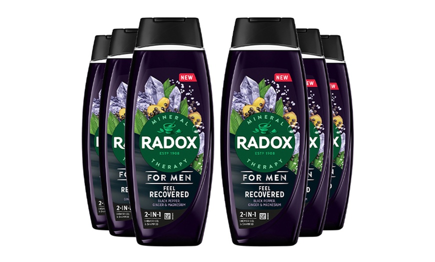 Image 14: Radox Mineral Therapy 2in1 Shower Gel and Shampoo 450ml