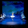 Image 9: „Swan Lake – Beyond the Stage“: Ticket vom 1.10. bis 5.10.2025