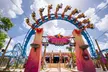 Save 49% on Busch Gardens Tampa Tickets, Fun Cards & Meals! - Second Medium
