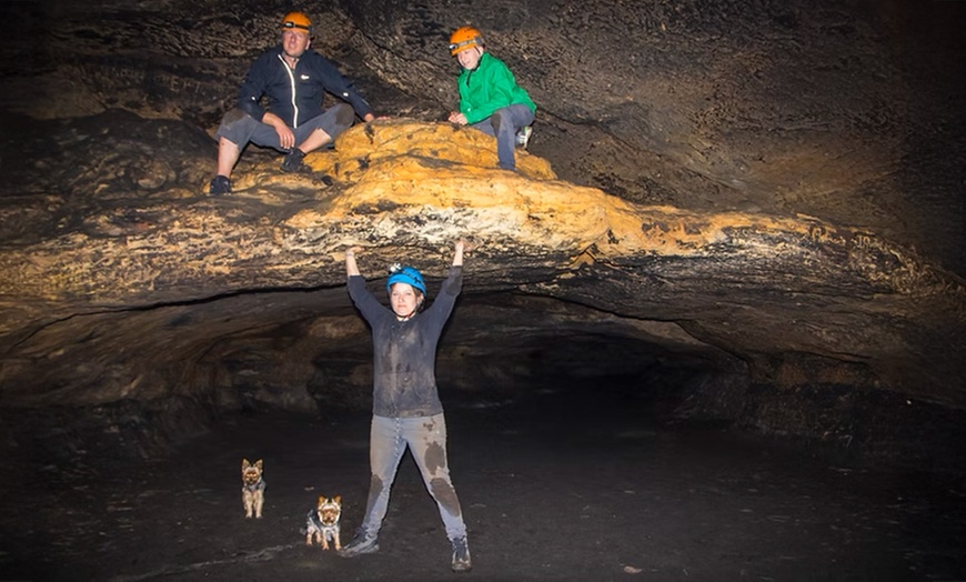 Image 1: „Hö-Tour“ durch die Natur der Sächsischen Schweiz für 1 - 6 Personen