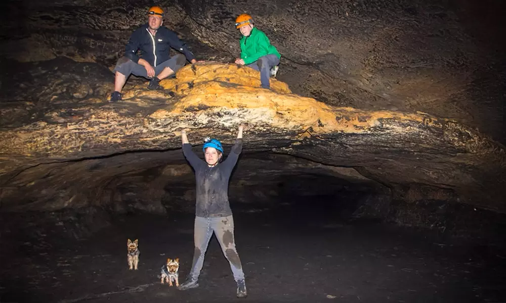 Entdecke die Natur der Sächsischen Schweiz bei der „Hö-Tour“ Höhlentour für 1 - 6 Personen (bis zu 30% sparen) - Primary Image