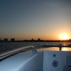 Image 11: Sunset & Sightseeing Cruise – General Admission for All Ages