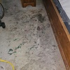 Image 6: Up to 58% Off on Carpet Cleaning at Aggro Carpet Cleaning