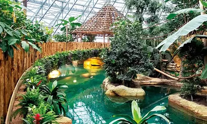 Journée ou séjour au ZooParc de Beauval avec Wonderbox Connect