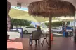 One or Three Gold Car Washes at Palm Springs Airport Car Wash (Up to 42% Off) - Second Medium
