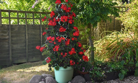 Groupon Unisex Green Glazed Effect Patio Pots Or Hanging Baskets :Pistachio Tower Pot/Two