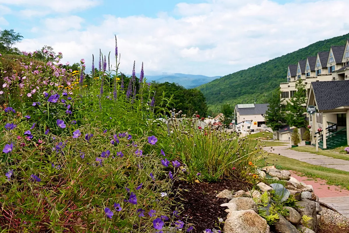 Enjoy a Luxury Mountain Escape with Spa & Dining Credit