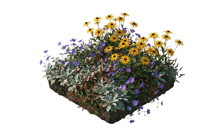 Image 2: Pack de bordure NatureNest 'Rosie'