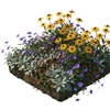 Image 2: Pack de bordure NatureNest 'Rosie'