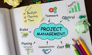 Project Management Online Course