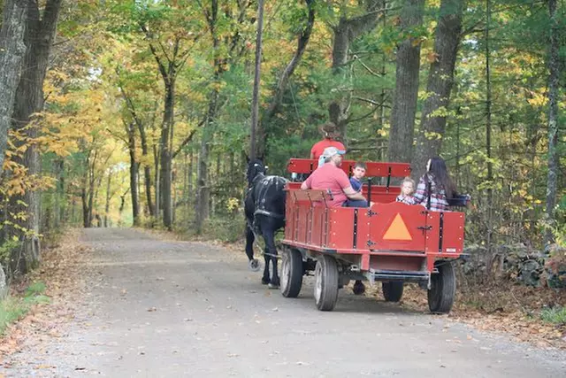 Horse-Drawn Autumn Tour along with Ice Cream Treats