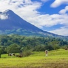 Image 6: ✈ 8-Day Tour of Costa Rica with Air from Great Value Vacations