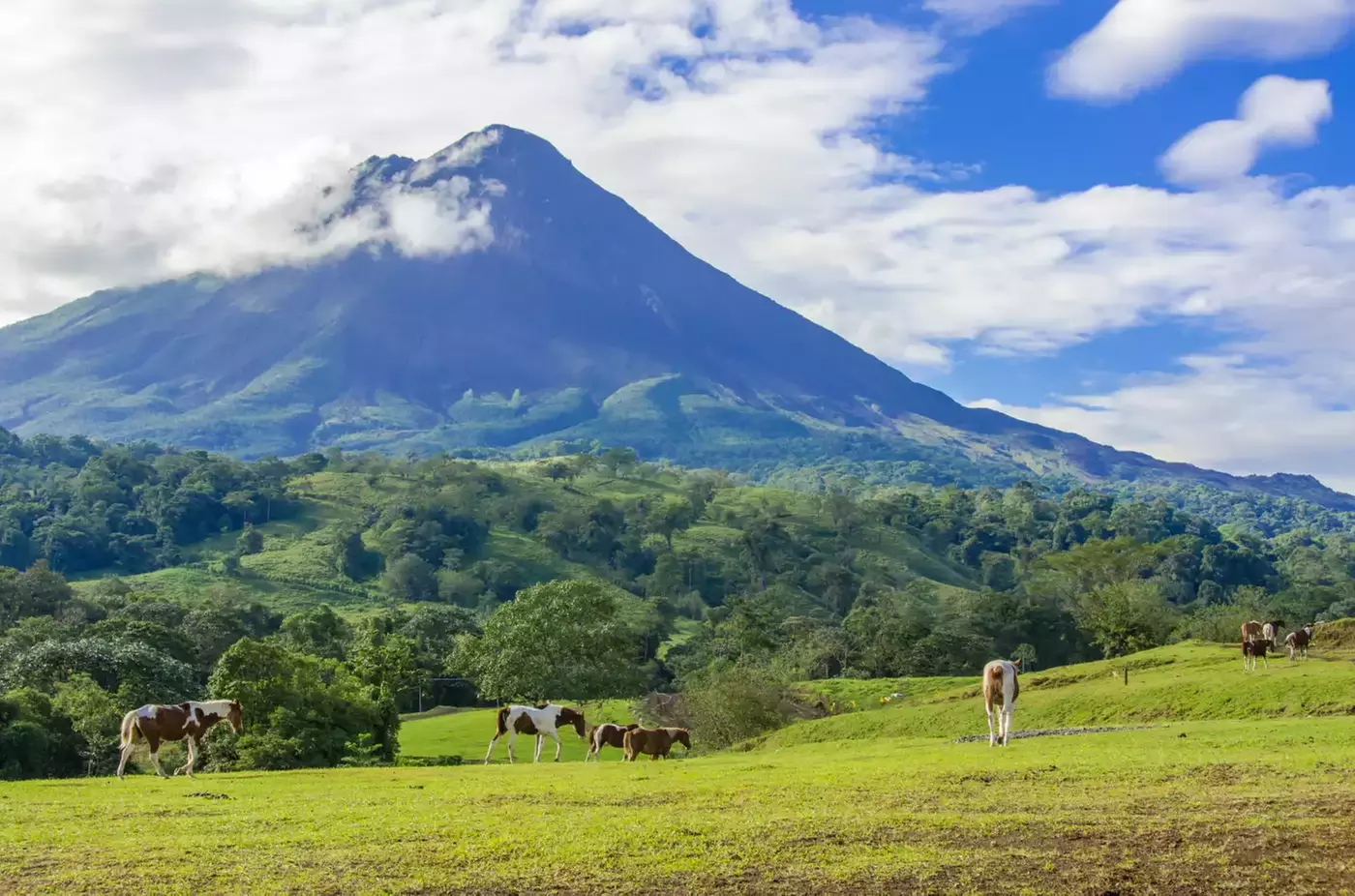 ✈ 8-Day Tour of Costa Rica with Air from Great Value Vacations