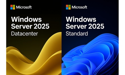 Microsoft Windows Server RDS 50 User CALs