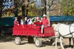 Create Lasting Memories at Cornerstone Ranch: Group Horse-Drawn Sleigh/Wagon Ride with Expert Guide - Second Medium