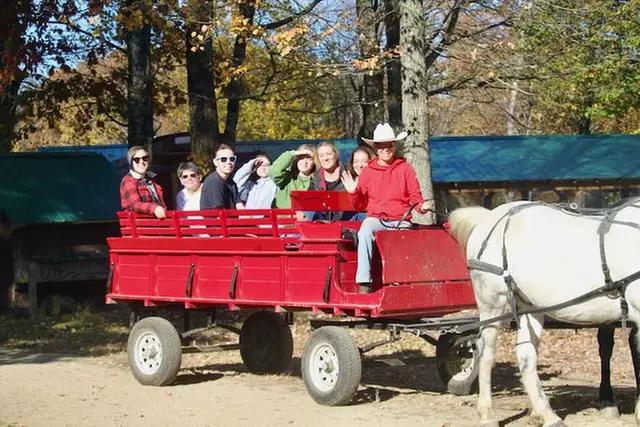 Horse-Drawn Autumn Tour along with Ice Cream Treats