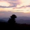 Image 5: Scenic & Off-Road Jeep Tours in Asheville
