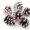 Image 3: Living And Home 30-Pack Real Pine Cones