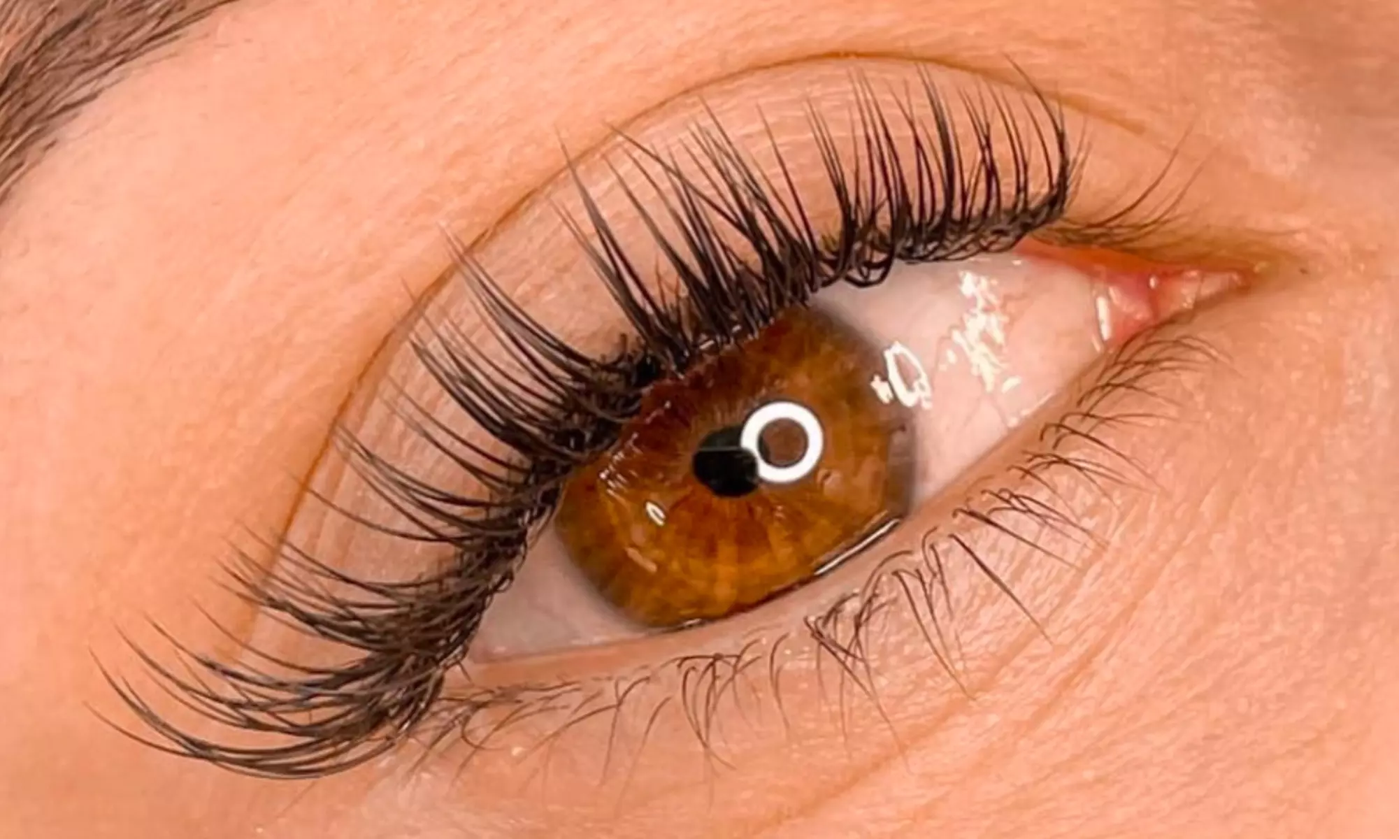 Full Set Classic, Hybrid, Mega, Volume, Freestyle Lash Extension/Fills