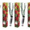 Image 3: Lot de 4 roses à grandes fleurs de la marque 