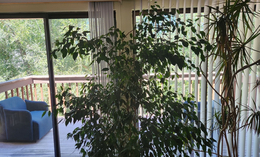 Image 2: 60 or 90 Minute Swedish, Hot Stone, Therapeutic or Deep Tissue Massage