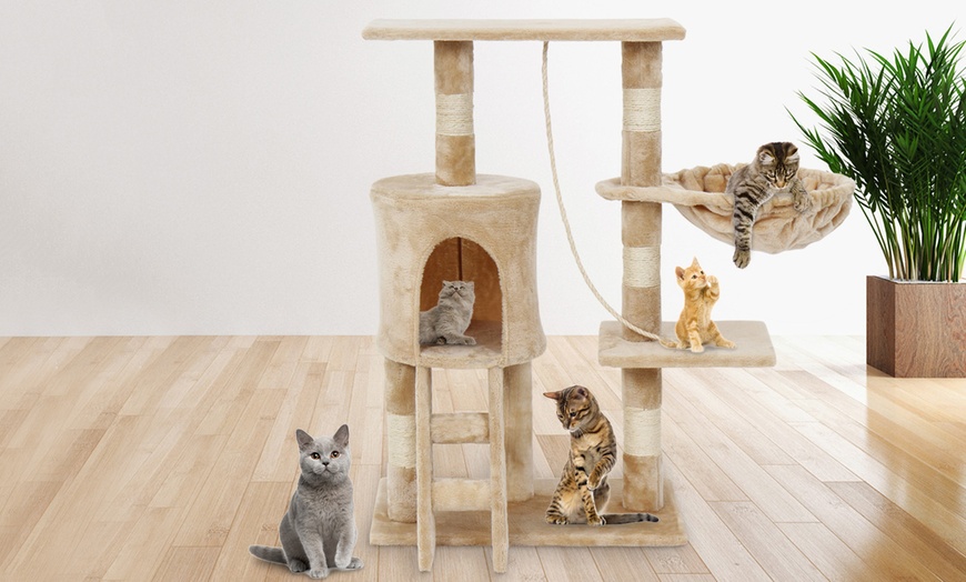 Image 1: Large Cat Activity Trees