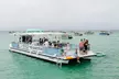 Experience Unforgettable Crab Island & Sunset Dolphin Tours with Sandy Bottom Boat Tours - Image 4