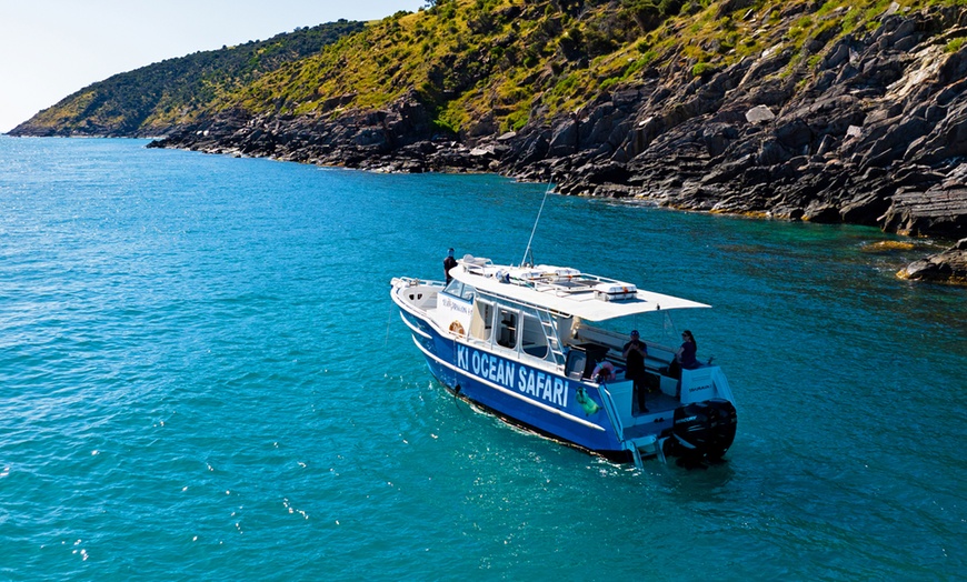 Image 5: 75-Minute or 2-Hour Kangaroo Island Coastal Safari Boat Tour