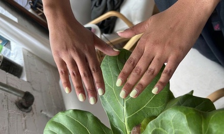 Standard Gel Manicure - 7even Fingers
