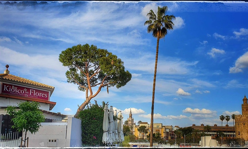 Image 6: Entrantes, principal o arroz, bebidas y postre para 2 o 4 personas