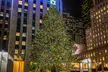 4-Hour Dyker Heights Christmas Lights Tour with Round-Trip Bus from Manhattan:  Dec. 1 - Jan. 1 (Up To 20% Off) - Second Medium