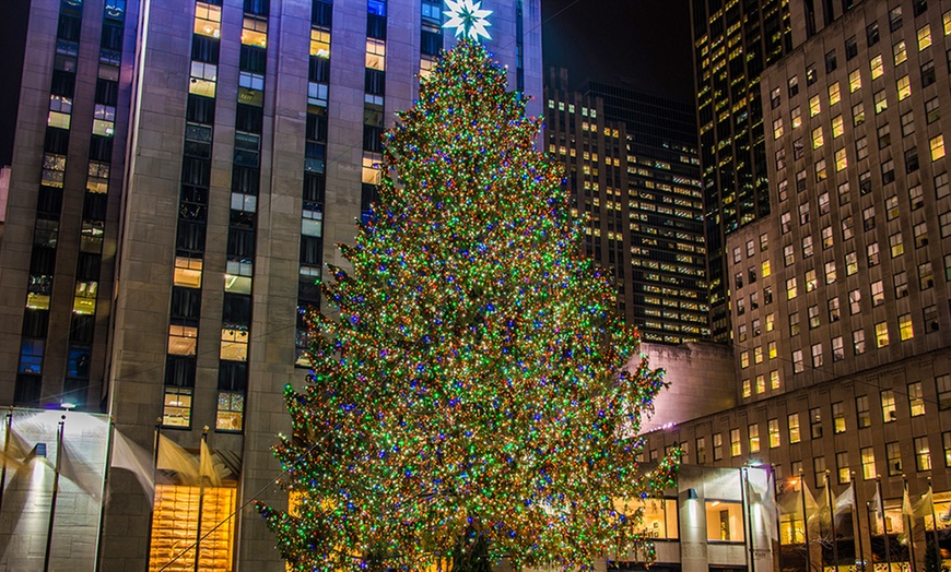 Image 6: Up to 20% Off 4-Hour Dyker Heights Christmas Lights Bus Tour