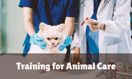 Training for Animal Care - Khan Education